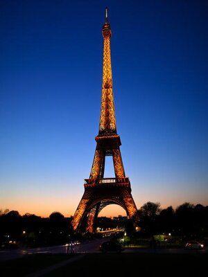 cover image of The Eiffel Tower